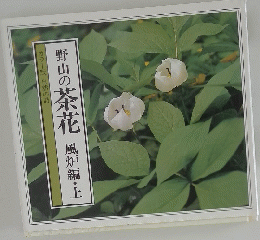 野山の茶花　風炉編・上
