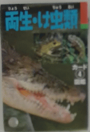 両生・は虫？