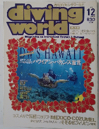 diving　world　1995年１２月