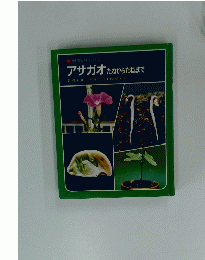 アサガオ　たねからたねまで