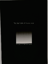 The Half-Life of Awareness Photographs of Hiroshima and Nagasaki