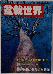 盆栽世界　1986年1月号