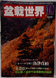 盆栽世界　１９８６年11月号
