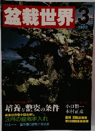 盆栽世界　１９８５年3月号