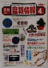 月刊盆栽情報　1985年4月号
