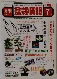 盆栽情報　1985年7月号