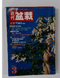 盆栽　1987　3