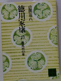 徳川家康　23　蕭風城の巻