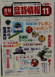 盆栽情報　1985年11月号