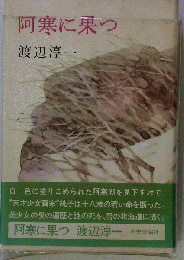 小説 阿寒に果つ