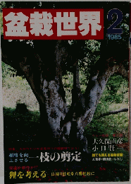 盆栽世界　1985年2月号