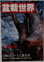 盆栽世界　1985年1月号