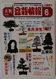 盆栽情報　1985年6月号