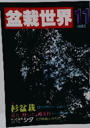 盆栽世界　1985年11月号