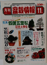盆栽情報　1984年11月号