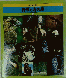 世界の野生動物 野原と森の鳥