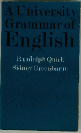 A University Grammar of English