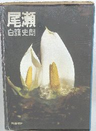尾瀬
