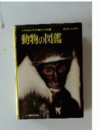 動物の図鑑