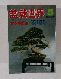 盆栽世界 5