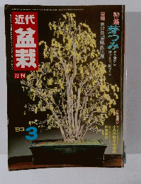 近代盆栽
