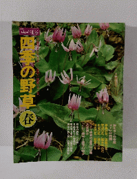 四季の野草 春