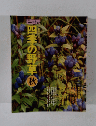 四季の野草　秋号