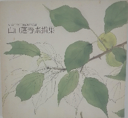 山口蓬春素描集