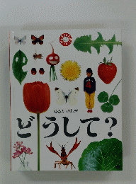 どうして?
