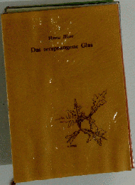 Das zersprungene Glas Heinz Risse