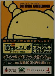 特別展 菌類のふしぎ