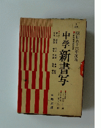 中学新書写