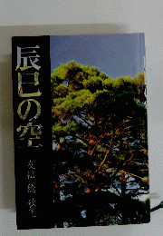 辰巳の空