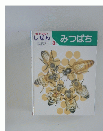 キンダーブック 3 しぜん　　みつばち