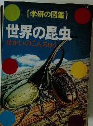 (学研の図鑑)　世界の昆虫　せかいのこんちゅう