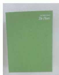 The　Plants