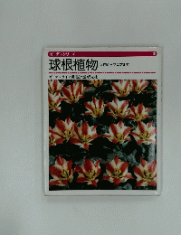 球根植物　