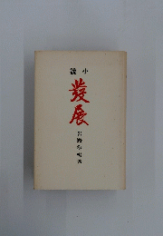 発展