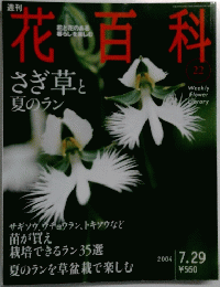 花百科　2004年7月