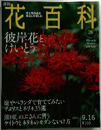 花百科　28　2004年9月16日号