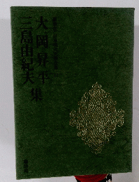 豪華版 日本現代文學全集　38