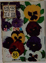 園芸通信　秋の草花特集　1971