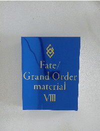 Fate/Grand Order material VIII