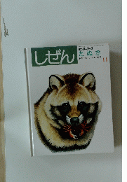 しぜん 11　たぬき