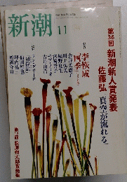 新潮　2004年11月号