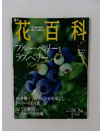 花百科　１７　２００４年６月２４日号