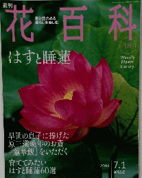花百科　１８号　２００４年7月号