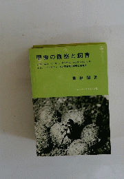 甲虫の観察と飼育