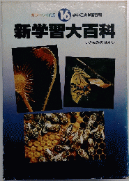 新学習大百科