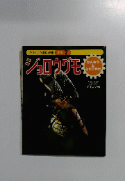 ジョロウグモ